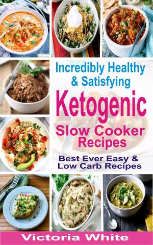 Cover of the book Incredibly Healthy and Satisfying Ketogenic Slow Cooker Recipes by M Laurence