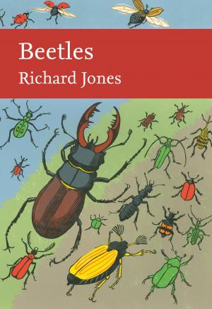 Cover of Beetles (Collins New Naturalist Library, Book 136)