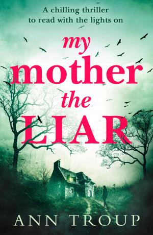 Cover of the book My Mother, The Liar by Sarah K