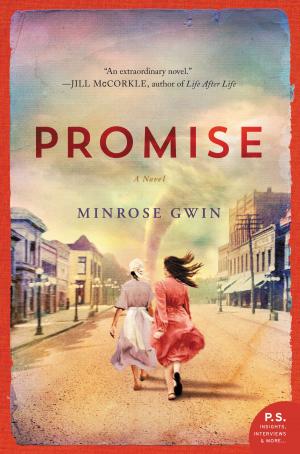 Cover of the book Promise by Ian Fraser