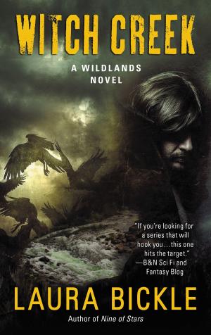Book cover of Witch Creek