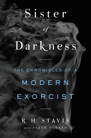 Cover of the book Sister of Darkness by David Morgan