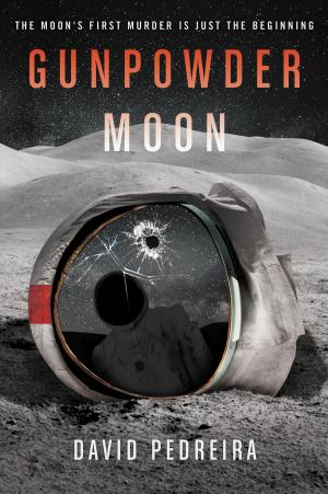 Cover of the book Gunpowder Moon by Kristoffer Gair