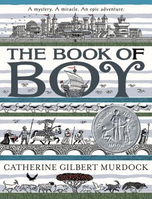 Cover of the book The Book of Boy by Rae Carson