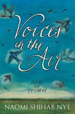bigCover of the book Voices in the Air by 