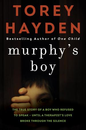 Book cover of Murphy's Boy