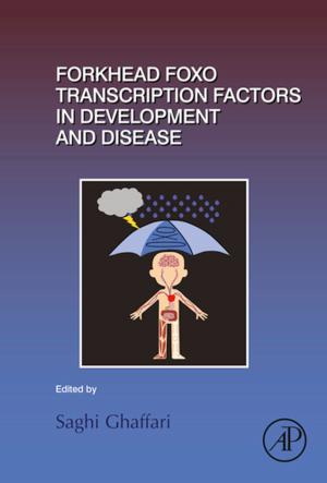 Cover of the book Forkhead FOXO Transcription Factors in Development and Disease by Jay G. Sanjayan, Ali Nazari, Behzad Nematollahi