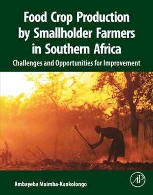 Cover of the book Food Crop Production by Smallholder Farmers in Southern Africa by Geoffrey Michael Gadd, Sima Sariaslani