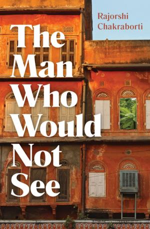 Cover of the book The Man Who Would Not See by Chas Newkey-Burden