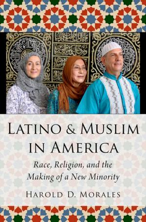 Cover of the book Latino and Muslim in America by David Brundage
