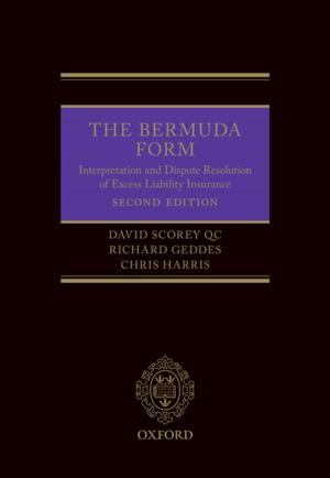 Cover of the book The Bermuda Form by Paul Anand