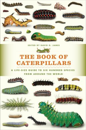 Cover of the book The Book of Caterpillars by Jayne Elizabeth Lewis