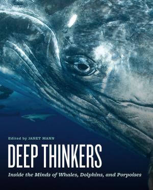 Cover of the book Deep Thinkers by Mark Chisnell