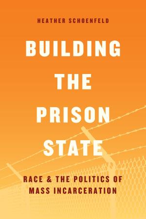 Cover of the book Building the Prison State by Peter James Hudson