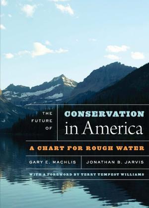 Cover of the book The Future of Conservation in America by 