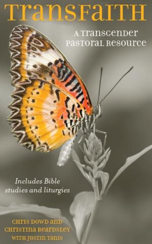 Cover of the book Transfaith: A Trangender pastoral resource by David Sheppard, Derek Worlock