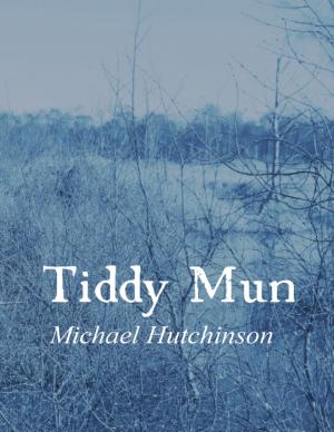 Cover of the book Tiddy Mun by Hypatia Bradlaugh Bonner, John M. Robertson