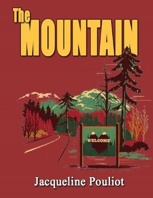 Book cover of The Mountain
