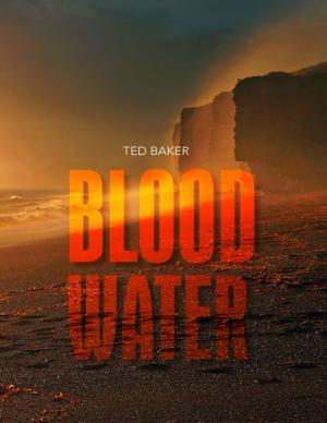 Cover of the book Blood Water by Jeff Ferraro