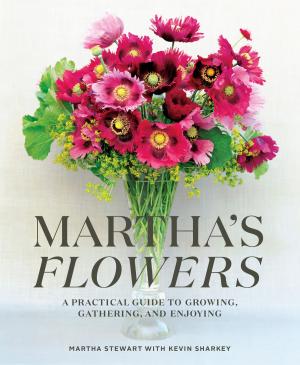 Book cover of Martha's Flowers