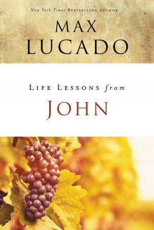 Cover of the book Life Lessons from John by Ray Strand