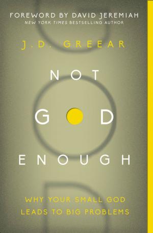 bigCover of the book Not God Enough by 