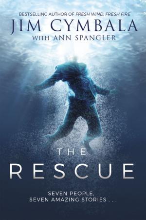 Cover of the book The Rescue by Dan   Woolley
