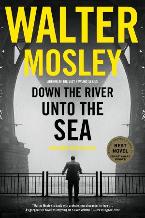 Cover of the book Down the River unto the Sea by James Patterson, Ned Rust