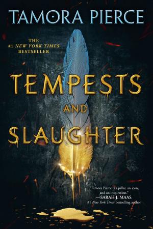 Cover of the book Tempests and Slaughter (The Numair Chronicles, Book One) by Barbara Park