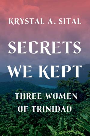 bigCover of the book Secrets We Kept: Three Women of Trinidad by 