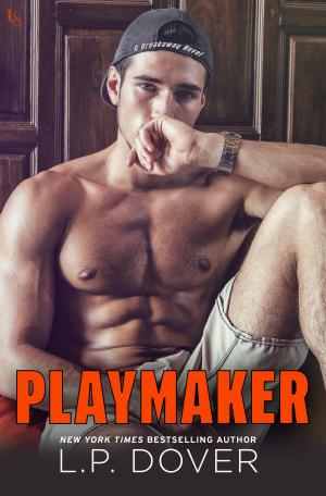 Cover of the book Playmaker by Bethany Campbell