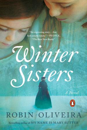 Cover of the book Winter Sisters by Sean McCabe