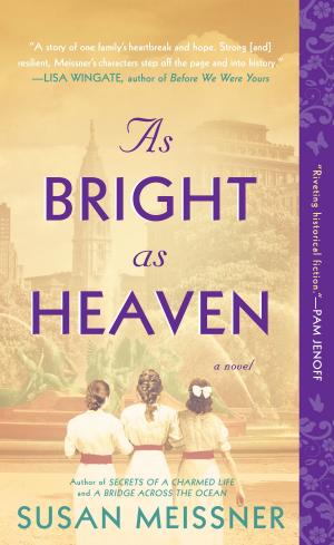 Cover of the book As Bright as Heaven by Kelly Tyler-Lewis