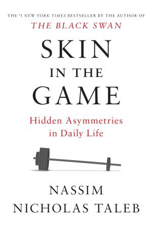 Cover of the book Skin in the Game by Allison Brennan
