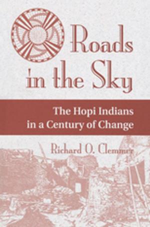 Cover of the book Roads In The Sky by S.R. Epstein
