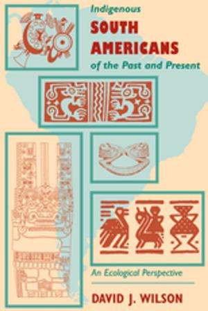 Book cover of Indigenous South Americans Of The Past And Present