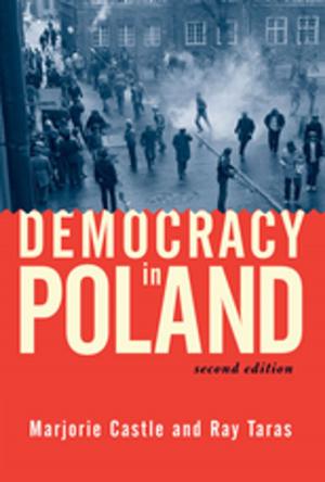 Cover of the book Democracy In Poland by Stephen A. Jay