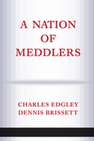 bigCover of the book A Nation Of Meddlers by 