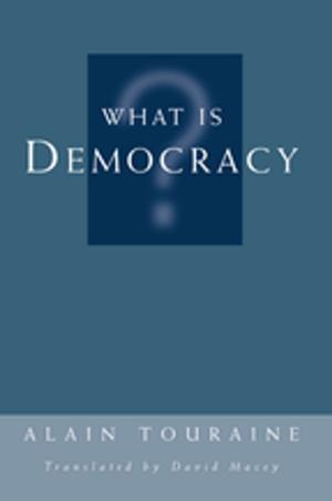 Book cover of What Is Democracy?