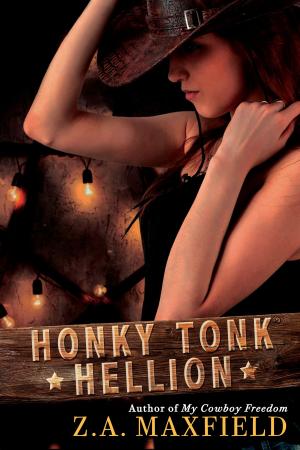 bigCover of the book Honky Tonk Hellion by 