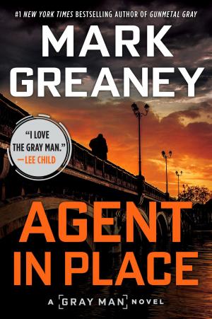 Cover of the book Agent in Place by Betty Hechtman