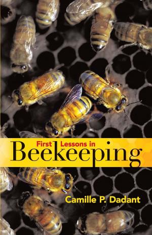 Cover of the book First Lessons in Beekeeping by Joshua Stoff