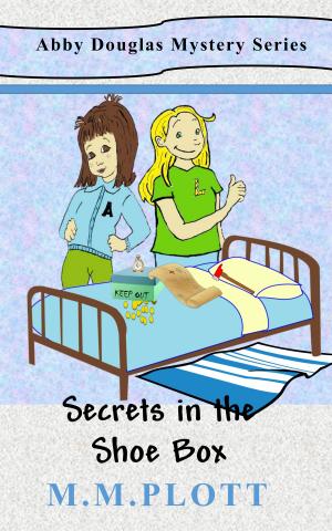 Cover of the book Secret's in the Shoe Box by Andy Straka
