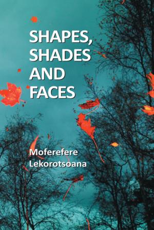 Cover of the book Shapes, Shades and Faces by Mavis J. Pearl