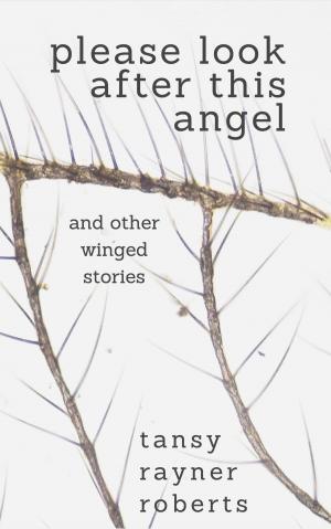 Cover of the book Please Look After This Angel by Nicholas Devon