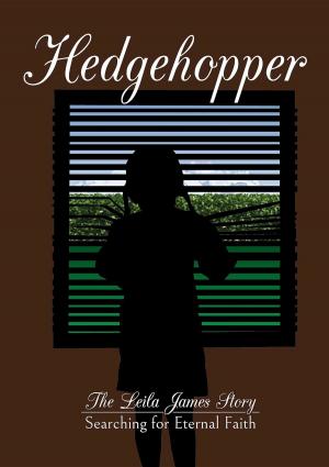 Cover of the book Hedgehopper by Paul Reidinger