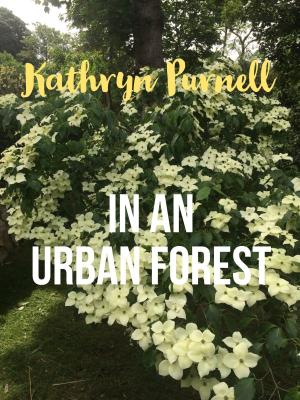 Cover of the book In an Urban Forest by Allison Kydd