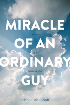 Cover of the book Miracle of an Ordinary Guy by Erik Landvik