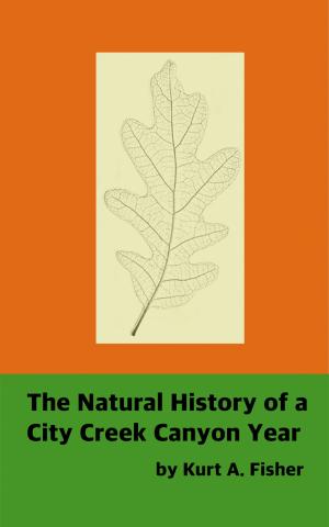 Cover of The Natural History of a City Creek Canyon Year
