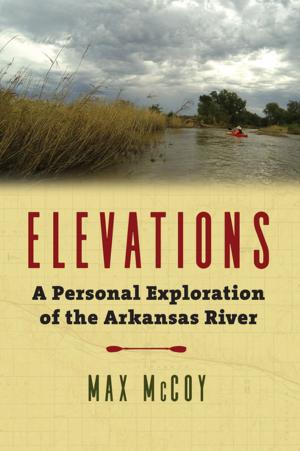 Cover of the book Elevations by Stephen R. Taaffe